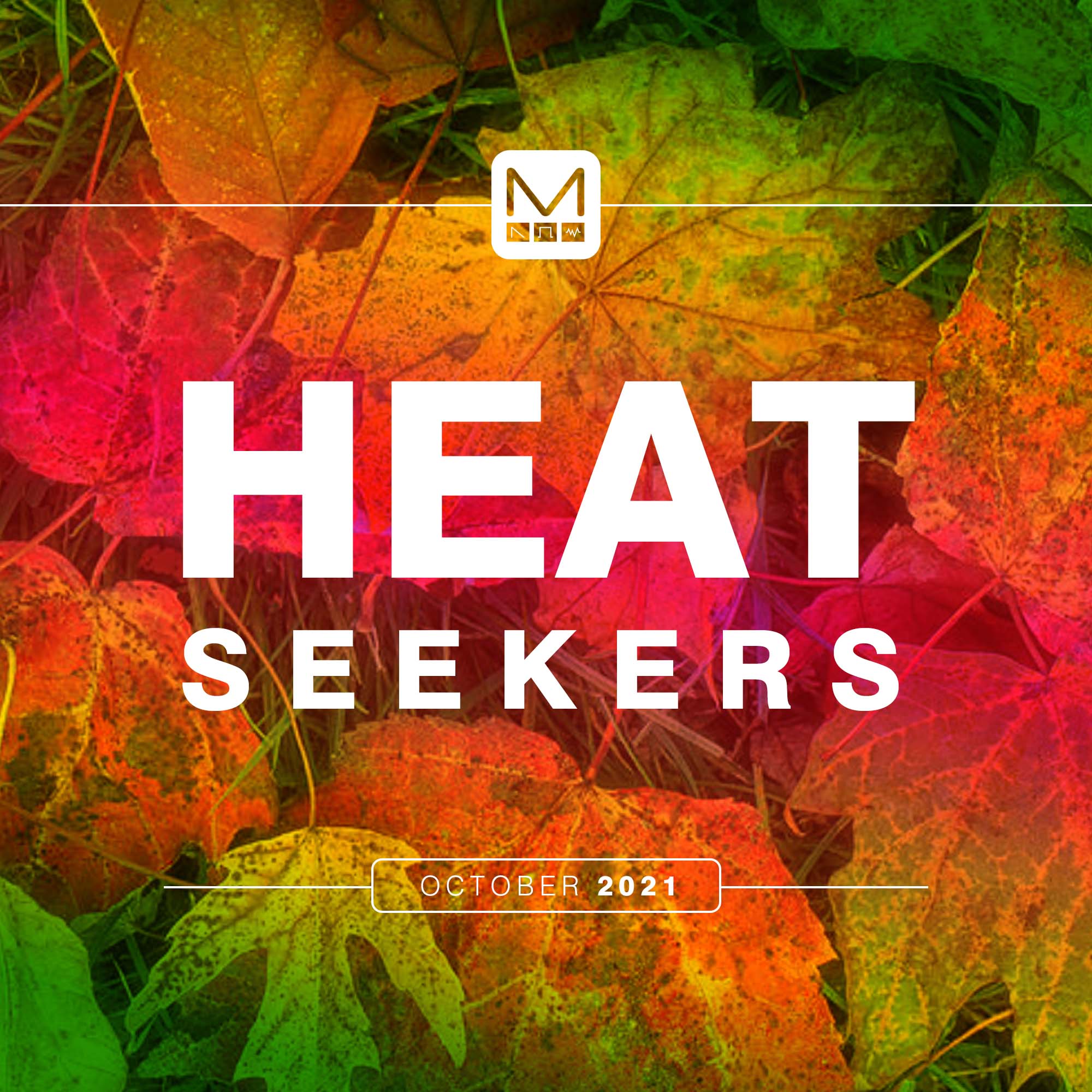 heat-seekers-10-21